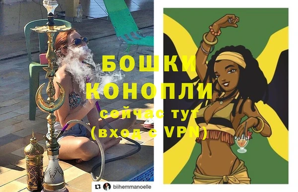 шишки Саяногорск