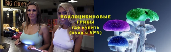 ГАЛЛЮЦИНОГЕННЫЕ ГРИБЫ Алексин