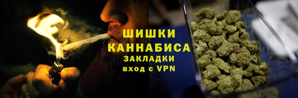 ГАЛЛЮЦИНОГЕННЫЕ ГРИБЫ Алексин