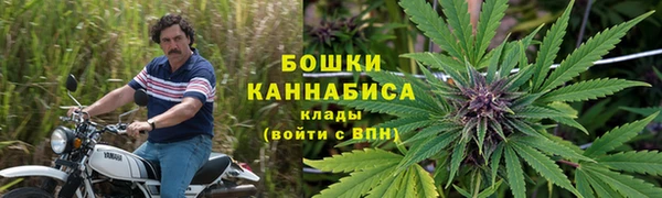 шишки Саяногорск