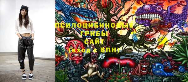 ПСИЛОЦИБИНОВЫЕ ГРИБЫ Алексеевка