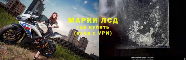 ГАЛЛЮЦИНОГЕННЫЕ ГРИБЫ Алексин